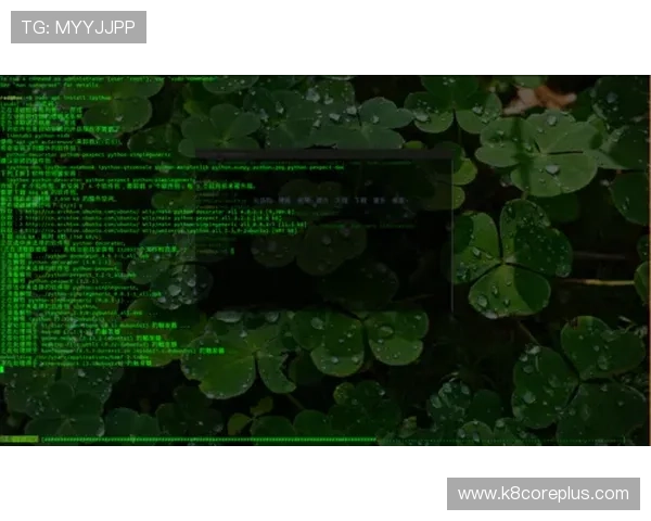 ag电子评级系统对提高游戏公平性和透明度的积极作用分析